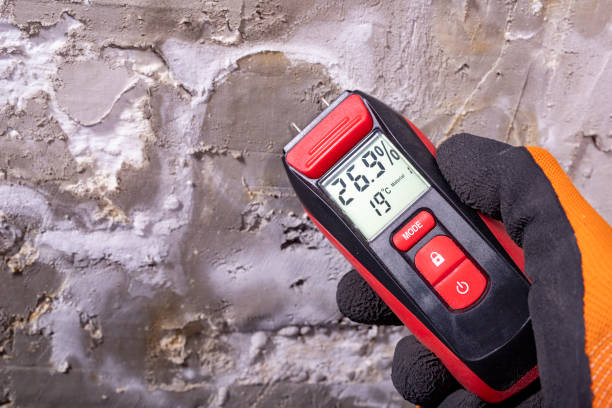 Best Mold Remediation Services  in Decatur, TX